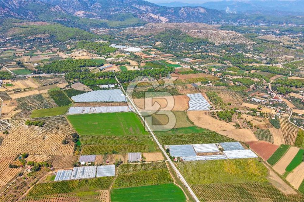 Muğla Seydikemer'de 178 Dönüm Arazi