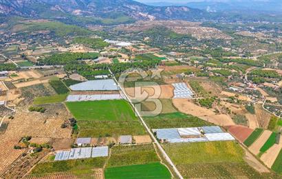 Muğla Seydikemer'de 178 Dönüm Arazi