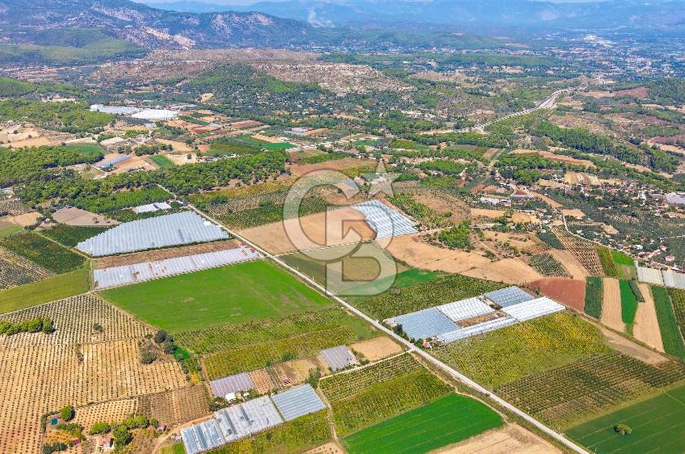 Muğla Seydikemer'de 178 Dönüm Arazi