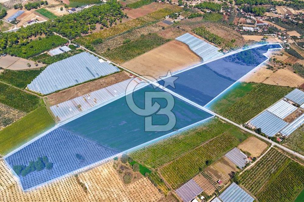 Muğla Seydikemer'de 178 Dönüm Arazi