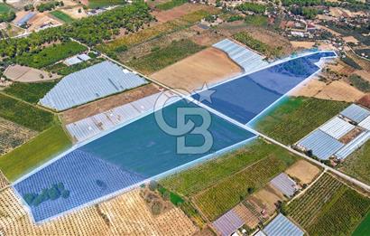 Muğla Seydikemer'de 178 Dönüm Arazi