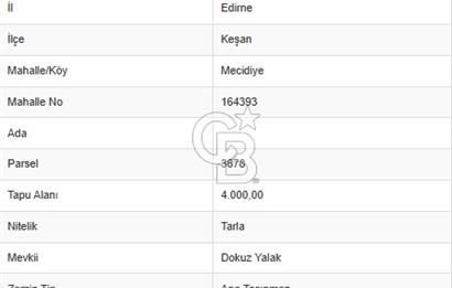 EDİRNE KEŞAN MECİDİYE KÖYÜ'NDE SATILIK TARLA