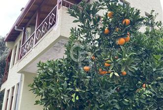 ANTALYA DEMRE BÜYÜKKUM SATILIK TRİPLEKS VİLLA - 3 - 374205