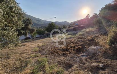 Aydın Bozdoğan Satılık Köy İçi İmarlı Uygun Fırsat Tarla