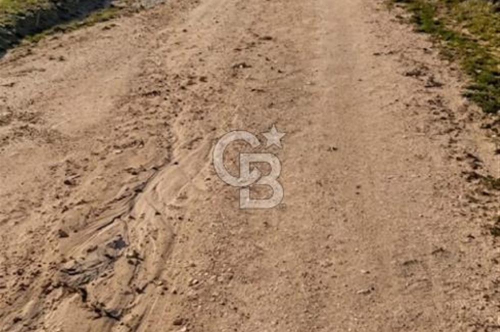 EDİRNE KEŞAN MECİDİYE KÖYÜ'NDE SATILIK TARLA