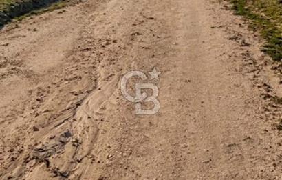 EDİRNE KEŞAN MECİDİYE KÖYÜ'NDE SATILIK TARLA