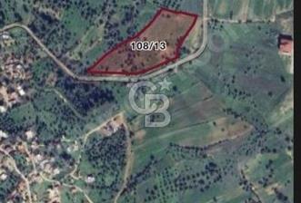 BODRUM ÇAMARASINDA 377M2 SATILIK TARLA YATIRIM FIRSATI - 3 - 374216