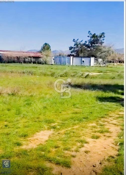 Bodrum Çamarası Satılık 2.511 m2 Yatırımlık çiftlik arazisi