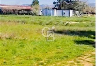 Bodrum Çamarası Satılık 2.511 m2 Yatırımlık çiftlik arazisi - 1 - 374220