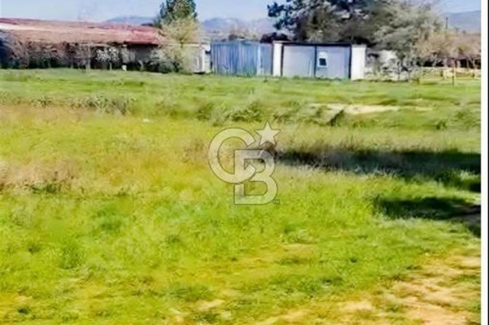 Bodrum Çamarası Satılık 2.511 m2 Yatırımlık çiftlik arazisi