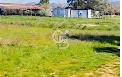 Bodrum Çamarası Satılık 2.511 m2 Yatırımlık çiftlik arazisi