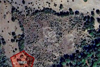 çanakkale ahmetçe de Troya tünel çıkışı fırsat tarla - 1 - 374181