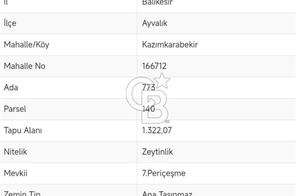 AYVALIK'TA DÜZ KONUMLU, KOLAY ULAŞIMLI SATILIK ZEYTİNLİK