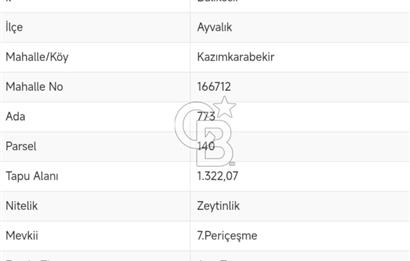 AYVALIK'TA DÜZ KONUMLU, KOLAY ULAŞIMLI SATILIK ZEYTİNLİK