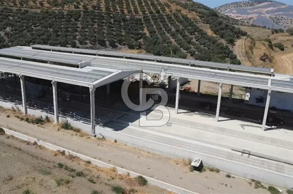 COLDWELL BANKER ODAK'TAN EMSALSİZ BİR BESİ ÇİFTLİĞİ