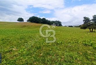 Tunceli Merkez İsmet İnönü Satılık Tek Tapu Arsa - 3 - 374277