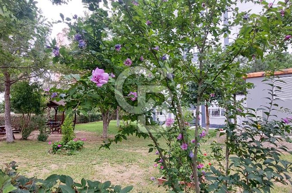 Tekirdağ Çorlu Emlak Konut 2 nci Kısım Kiralık 3+1 Daire