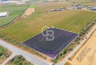 MENDERES SANCAKLI'DA ANA YOLA CEPHELİ SATILIK TARLA - 3 - 374322
