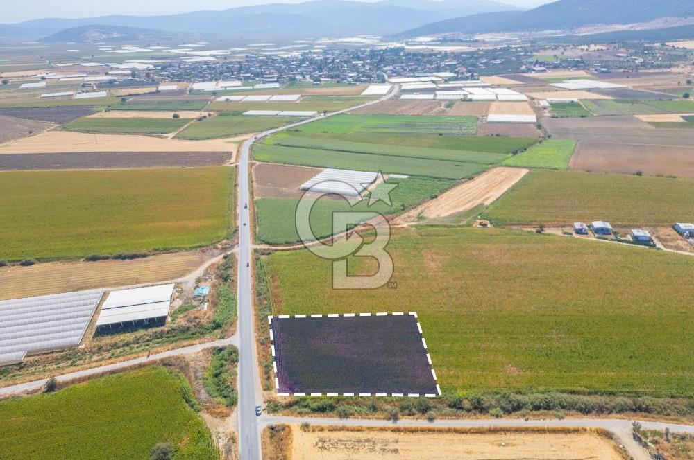 MENDERES SANCAKLI'DA ANA YOLA CEPHELİ SATILIK TARLA