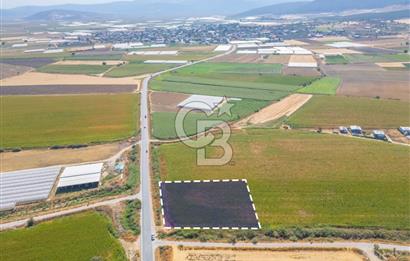 MENDERES SANCAKLI'DA ANA YOLA CEPHELİ SATILIK TARLA