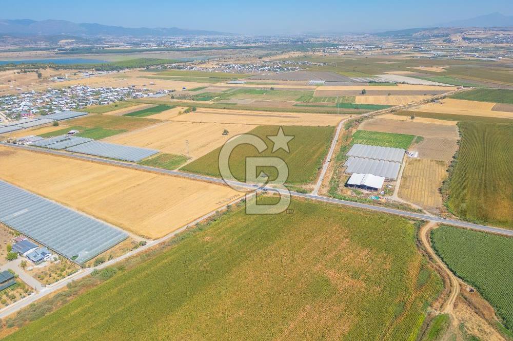 MENDERES SANCAKLI'DA ANA YOLA CEPHELİ SATILIK TARLA