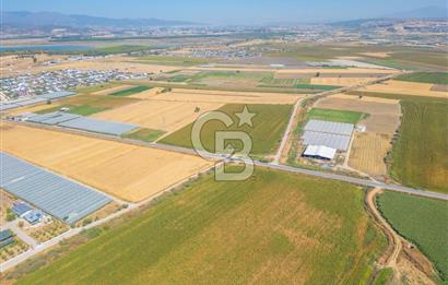MENDERES SANCAKLI'DA ANA YOLA CEPHELİ SATILIK TARLA