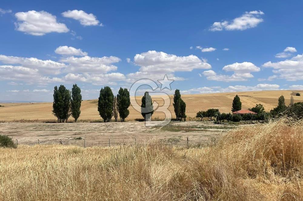 GÖLBAŞI OYACA YEŞİLÇAM MAHALLESİ KİRALIK TARLA