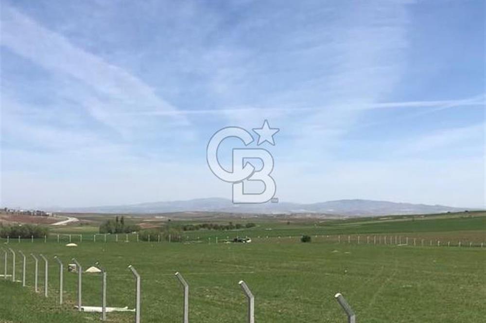GÖLBAŞI OYACA YEŞİLÇAM MAH. İMARA YAKIN SATILIK TARLA