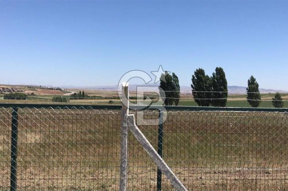 GÖLBAŞI OYACA YEŞİLÇAM MAH. İMARA YAKIN SATILIK TARLA