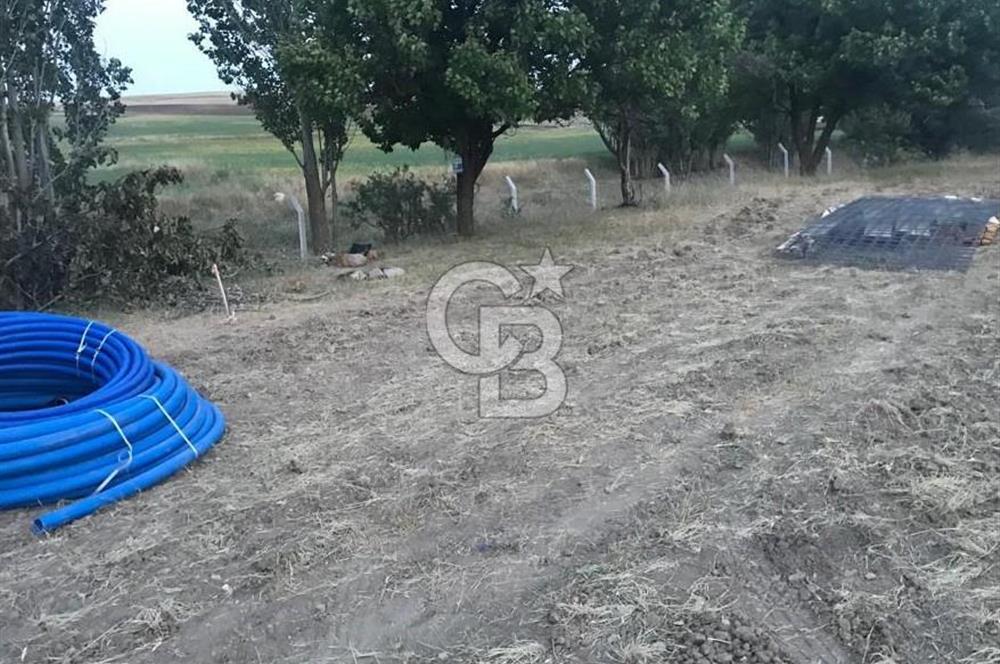 GÖLBAŞI OYACA YEŞİLÇAM MAHALLESİ KİRALIK TARLA