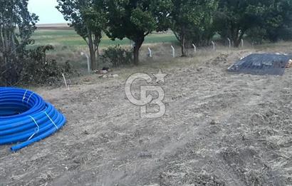 GÖLBAŞI OYACA YEŞİLÇAM MAHALLESİ KİRALIK TARLA