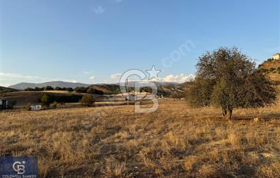 Tunceli Merkez İsmet İnönü Satılık Tek Tapu Arsa