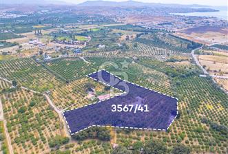 SEFERİHİSAR HIDIRLIK 12.693,46 M² SATILIK TARLA - 12 - 374428