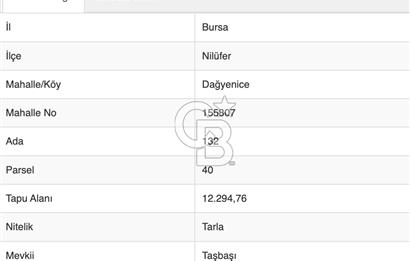 CB CLASS BURSA NİLÜFER DAĞYENİCE SATILIK YOLA 242 MT CEPHE ARAZİ