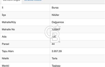 CB CLASS BURSA NİLÜFER DAĞYENİCE SATILIK KÖŞE PARSEL ARAZİ