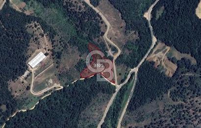 CB CLASS DAĞYENİCE 8.138,73 M2 SATILIK TARLA