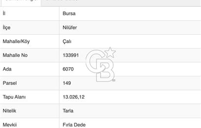 CB CLASS NİLÜFER/ÇALI 13.026,12 M2 SATILIK TARLA