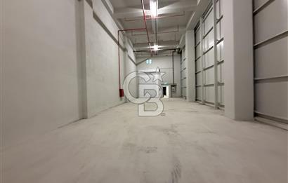 Diolovası Modern Sanayi Satılık İmalathane  456 m2