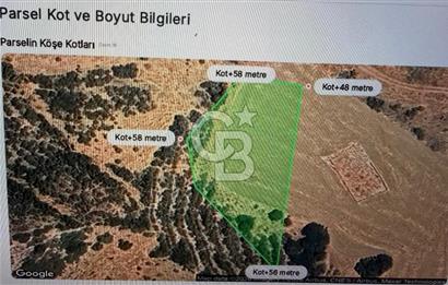 TEKİRDAĞ ŞARKÖY KIZILCATERZİ SATILIK ARSA