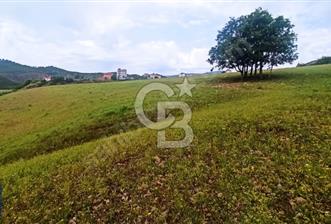Tunceli Merkez Harçik Vadi Manzaralı Alt Yapısı Hazır Arsa - 1 - 374353