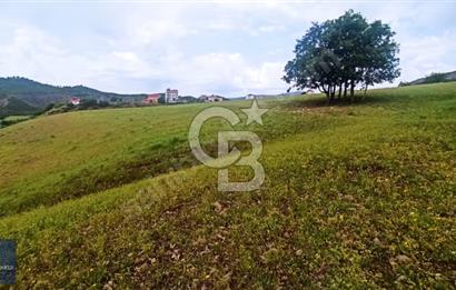 Tunceli Merkez Harçik Vadi Manzaralı Alt Yapısı Hazır Arsa