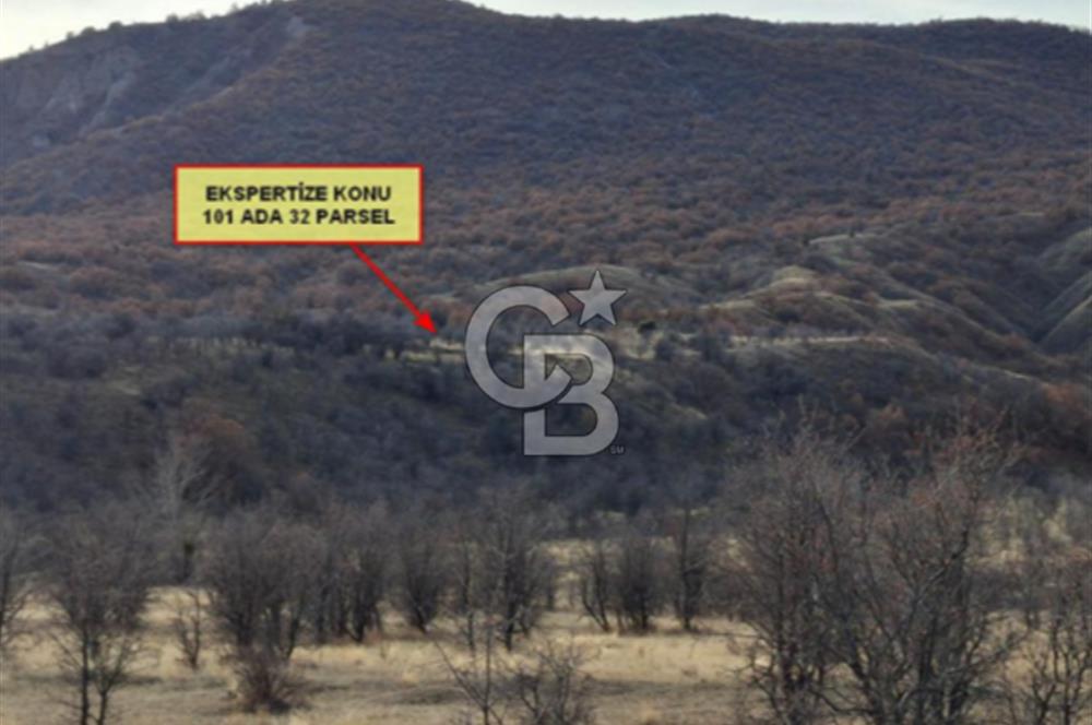 CB VİZYONDAN ÇANKIRI ILGAZ BELÖREN KÖYÜ SATILIK TARLA