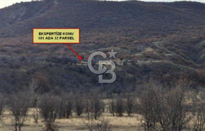 CB VİZYONDAN ÇANKIRI ILGAZ BELÖREN KÖYÜ SATILIK TARLA
