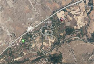 CB VİZYONDAN ÇANKIRI ILGAZ BELÖREN KÖYÜ SATILIK TARLA 1.126m2 - 2 - 374520