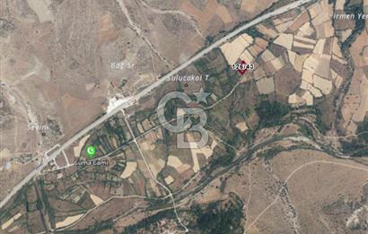CB VİZYONDAN ÇANKIRI ILGAZ BELÖREN KÖYÜ SATILIK TARLA 1.126m2