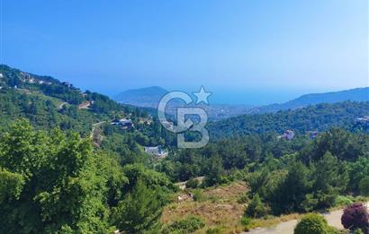 ALANYA TEPE OCEAN VIEWDA DENİZ & DOĞA MANZARALI 3+1 DUBLEKS