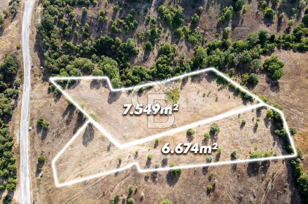 CB EAGLE'DAN DURSUNBEY KAVACIK'DA SATILIK 14.223 m² TARLA