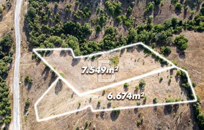 CB EAGLE'DAN DURSUNBEY KAVACIK'DA SATILIK 14.223 m² TARLA