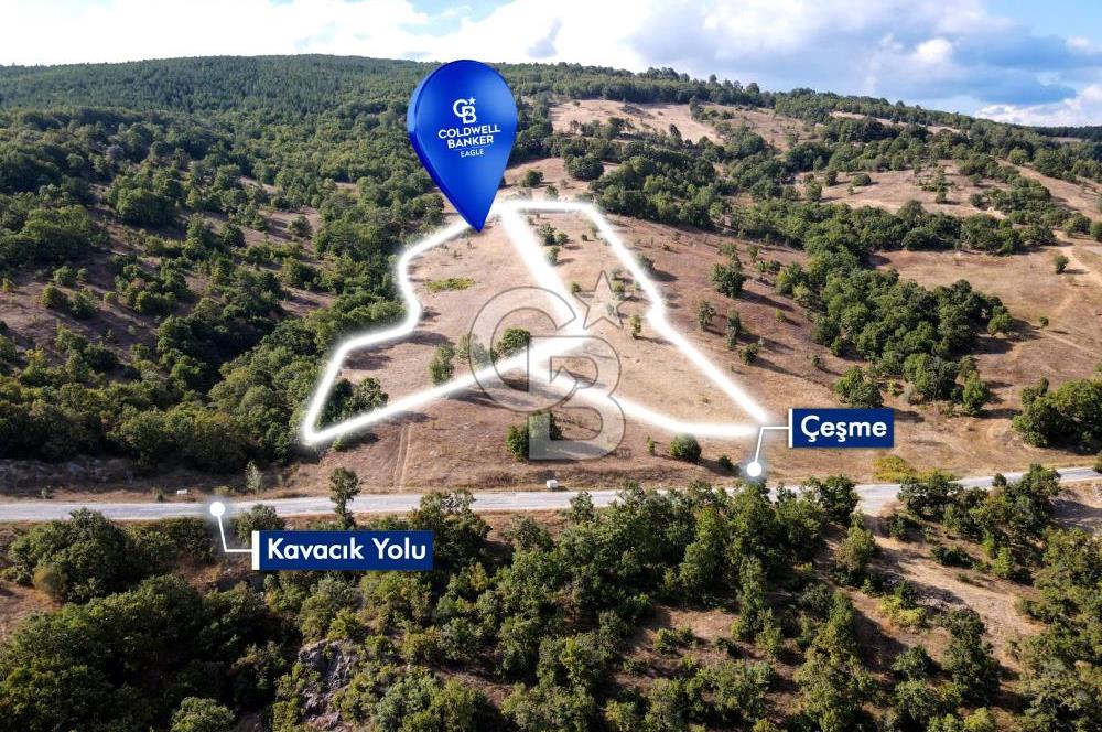 CB EAGLE'DAN DURSUNBEY KAVACIK'DA SATILIK 14.223 m² TARLA