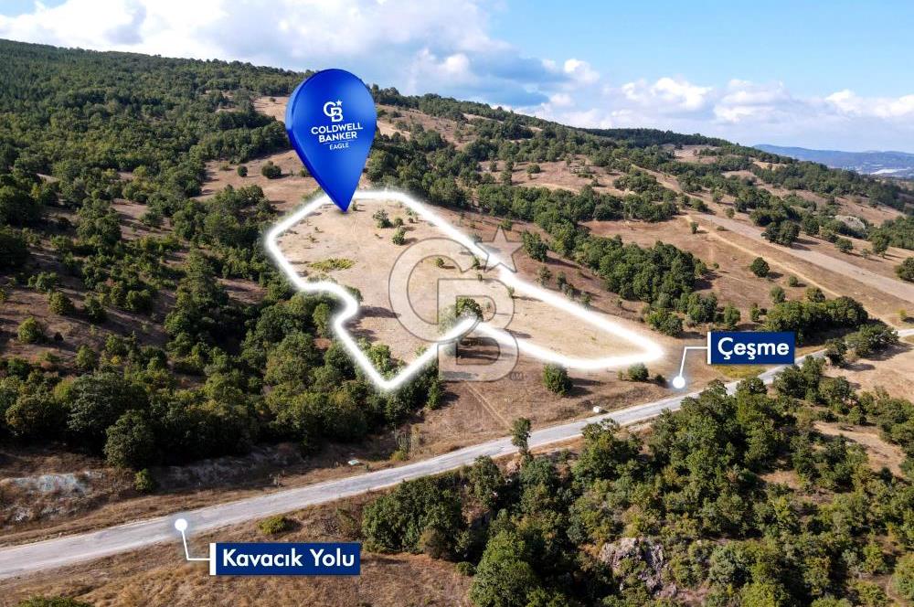 CB EAGLE'DAN DURSUNBEY KAVACIK'DA SATILIK 14.223 m² TARLA